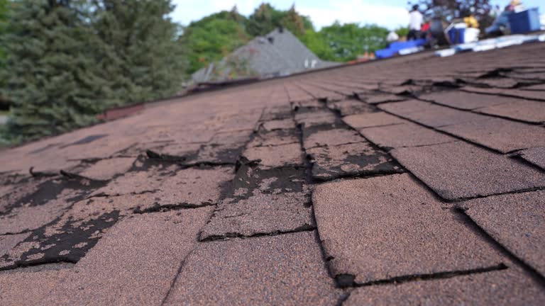 Best Wood Shake Roofing  in Crete, IL