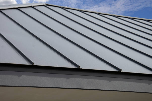 Best Solar Panel Roofing Installation  in Crete, IL