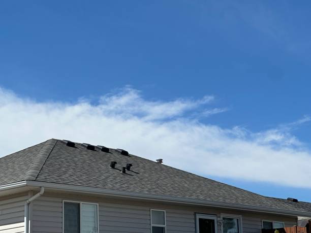Best Asphalt Shingles Roofing  in Crete, IL